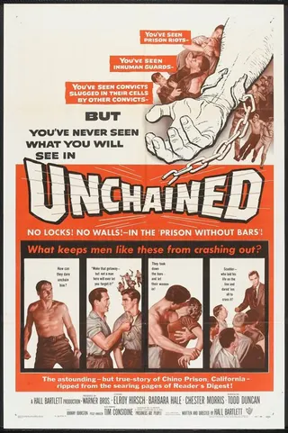 Görsel: TMDB Unchained afişi