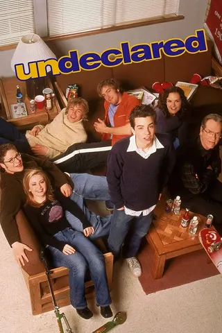 Undeclared afişi