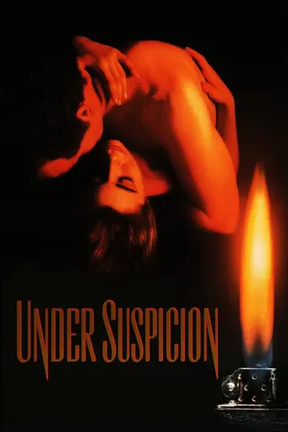 Under Suspicion afişi