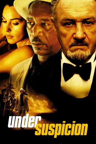 Görsel: TMDB Under Suspicion afişi