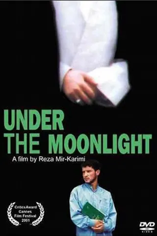 Görsel: TMDB Under the Moonlight afişi