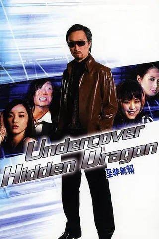 Undercover Hidden Dragon afişi