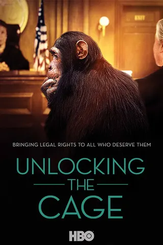 Görsel: TMDB Unlocking the Cage afişi