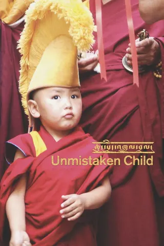 Unmistaken Child afişi