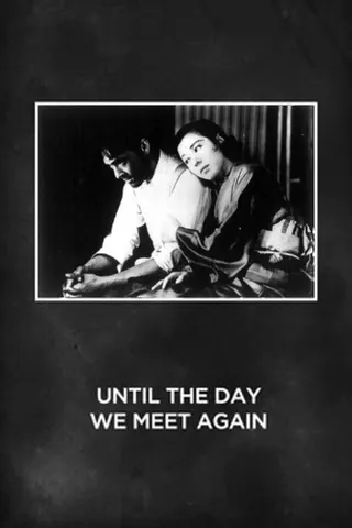 Until the Day We Meet Again afişi