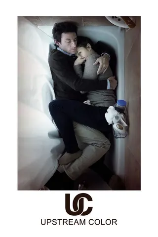Görsel: TMDB Upstream Color afişi