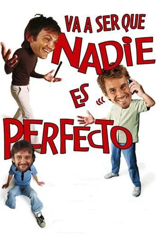 Görsel: TMDB Va a ser que nadie es perfecto afişi
