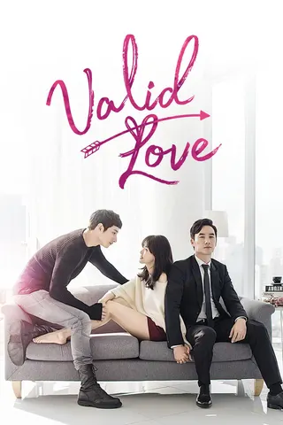 Görsel: TMDB Valid Love afişi