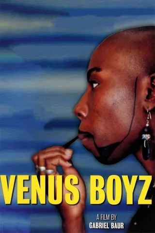 Venus Boyz afişi