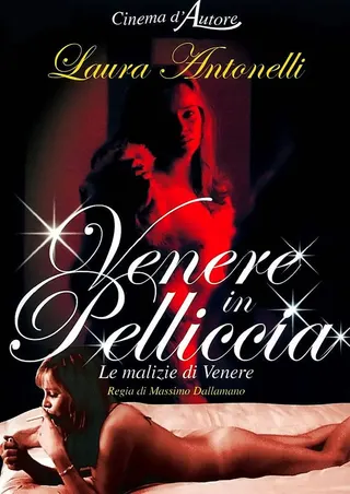 Venus in Furs afişi