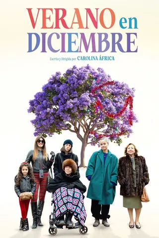 Verano en diciembre afişi