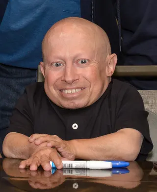 Görsel: Rob DiCaterino / CC BY Verne Troyer