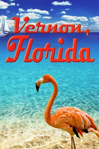 Görsel: TMDB Vernon, Florida afişi