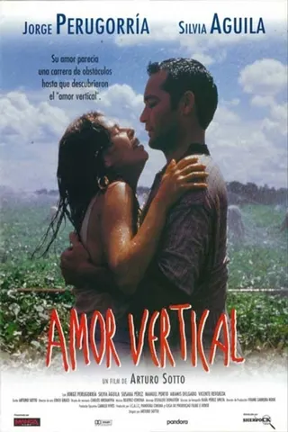 Vertical Love afişi