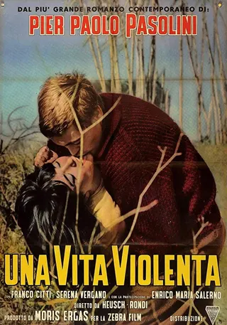 Violent Life afişi