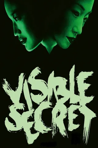 Visible Secret afişi