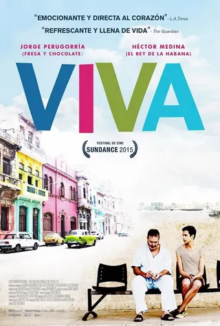 Görsel: TMDB Viva afişi