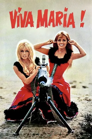 Viva Maria! afişi