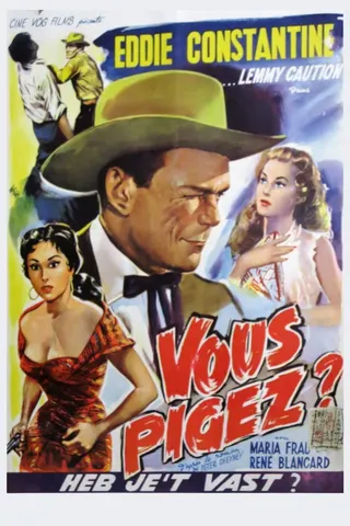 Vous pigez? afişi