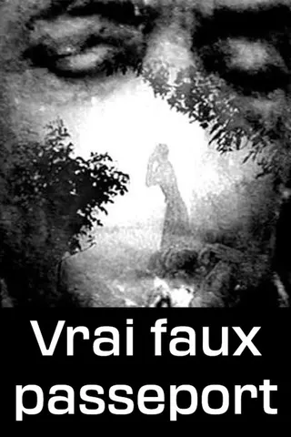 Görsel: TMDB Vrai faux passeport afişi