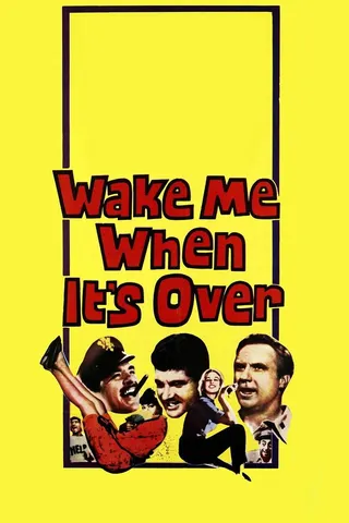 Görsel: TMDB Wake Me When It's Over afişi