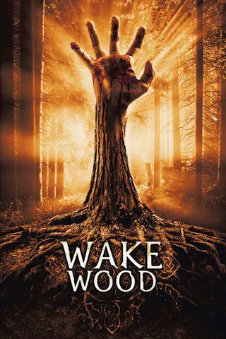 Görsel: TMDB Wake Wood afişi