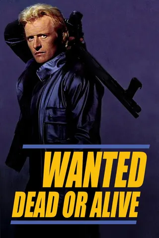 Görsel: TMDB Wanted: Dead or Alive afişi