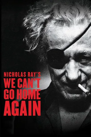We Can't Go Home Again afişi