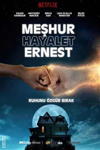 Görsel: TMDB We Have a Ghost afişi