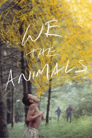Görsel: TMDB We the Animals afişi
