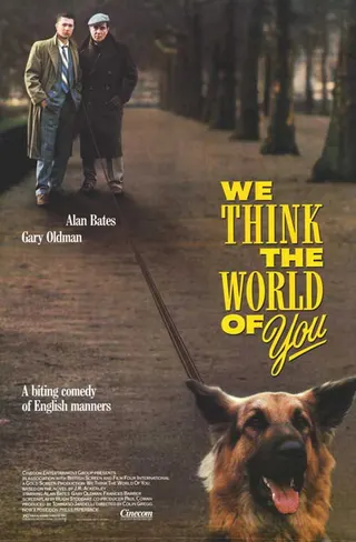 Görsel: TMDB We Think the World of You afişi