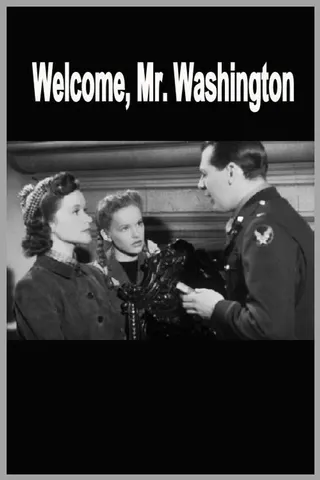 Görsel: TMDB Welcome, Mr. Washington afişi