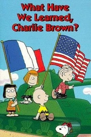 What Have We Learned, Charlie Brown? afişi