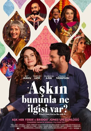 Görsel: TMDB What's Love Got to Do With It? afişi