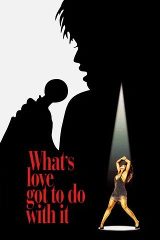 Görsel: TMDB What's Love Got to Do with It afişi