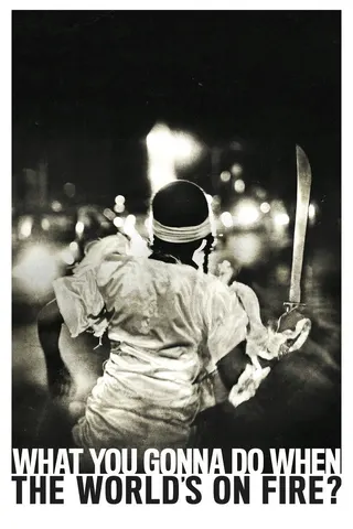 What You Gonna Do When the World's on Fire? afişi
