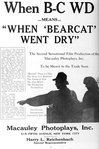 Görsel: TMDB When Bearcat Went Dry afişi
