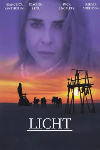 When the Light Comes afişi