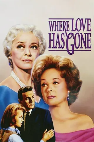 Where Love Has Gone afişi