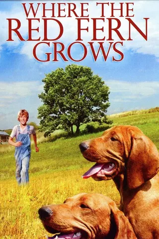 Görsel: TMDB Where the Red Fern Grows afişi