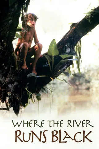 Görsel: TMDB Where the River Runs Black afişi