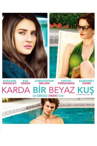 Görsel: TMDB White Bird in a Blizzard afişi