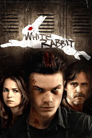 Görsel: TMDB White Rabbit afişi