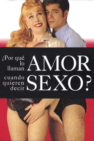 Görsel: TMDB Why Do They Call It Love When They Mean Sex? afişi