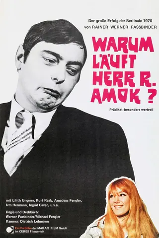 Why Does Herr R. Run Amok? afişi