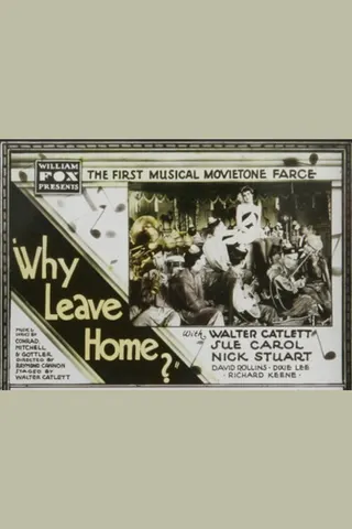 Görsel: TMDB Why Leave Home? afişi