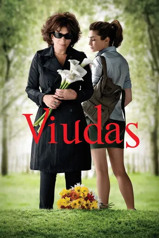 Widows afişi