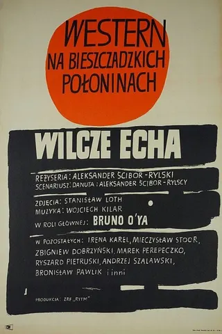 Görsel: TMDB Wilcze echa afişi