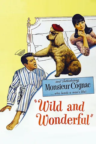 Görsel: TMDB Wild and Wonderful afişi
