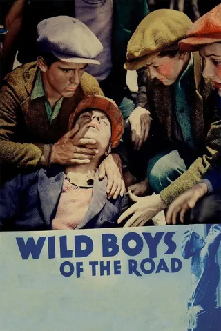 Wild Boys of the Road afişi